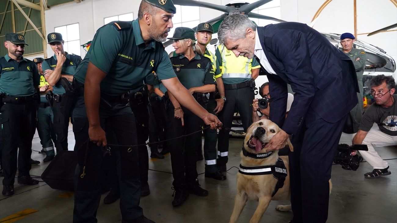 Más de 156.000 agentes velarán por la seguridad este verano
