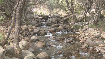 La sequía pasa factura a los ríos del Parque Nacional del Guadarrama