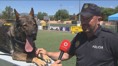 Villalba celebra el 73 aniversario de su policía local con un exhibición canina