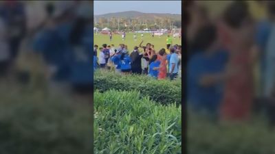 VÍDEO: Agrede a un hombre con un palo selfie durante un partido de niños