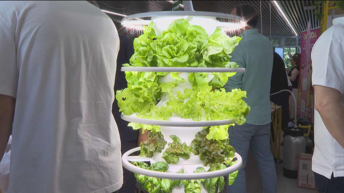 Cubiertos comestibles, huevos sin colesterol... los alimentos del futuro están en Madrid