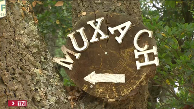 Cuatro menores heridos por la explosión de un experimento químico en un campamento en Girona