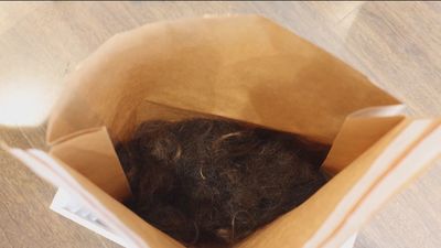 Para abonar el campo, para limpiar el mar... los inesperados usos del pelo que te cortan en la peluquería