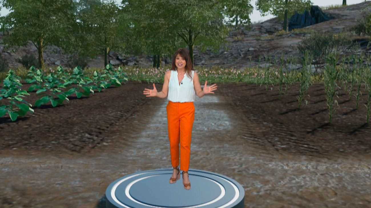 ¿Cómo podemos conservar mejor el suelo cultivable?