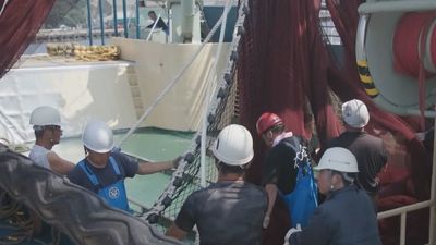 Pescadores japoneses temen perder su empleo por el vertido de agua radiactiva