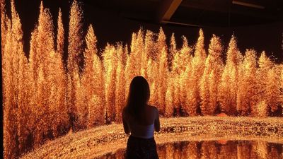 La nueva exposición inmersiva y gratuita en Madrid que une China con España