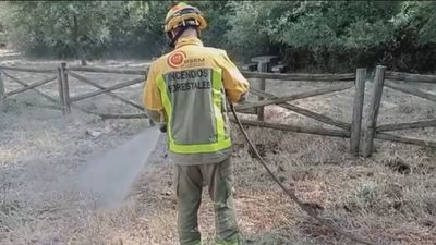 La Comunidad de Madrid ha regado 400 zonas forestales para evitar incendios este verano