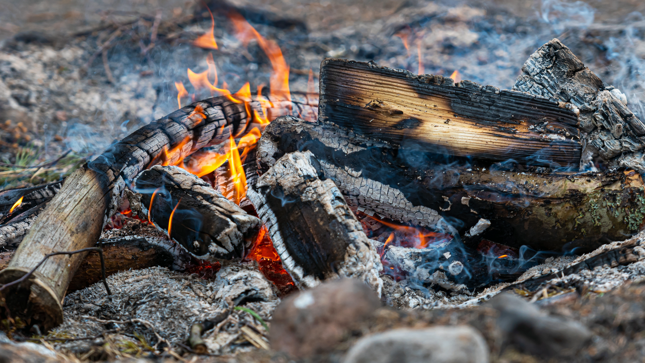 Las claves para hacer una barbacoa con seguridad