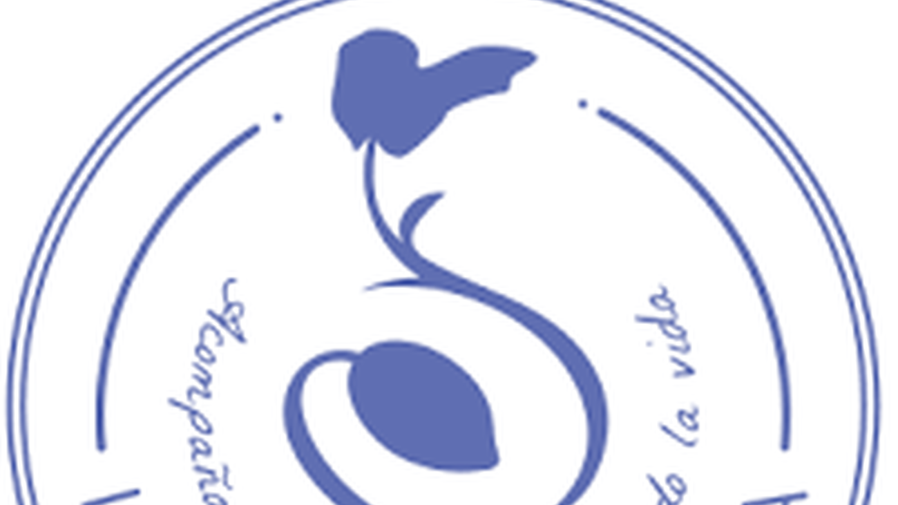 La Semilla Violeta, la cooperativa que forma docentes