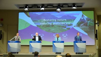 La Eurocámara aprueba 'in extremis' la Ley de Restauración de la Naturaleza