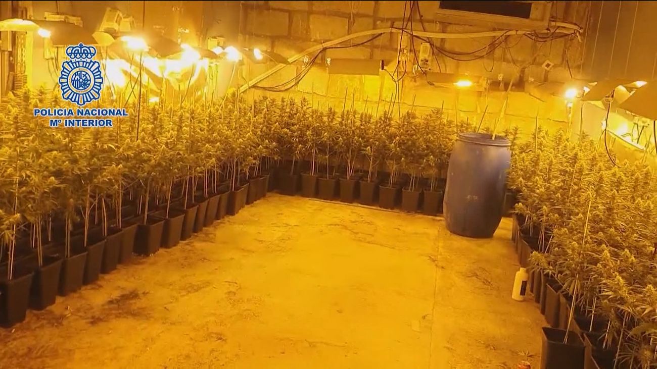 La Policía Nacional desarticula un clan de la droga el Pitis