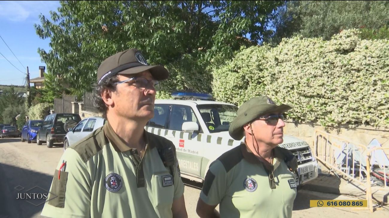 ¿Cómo se investigan las causas de un incendio?