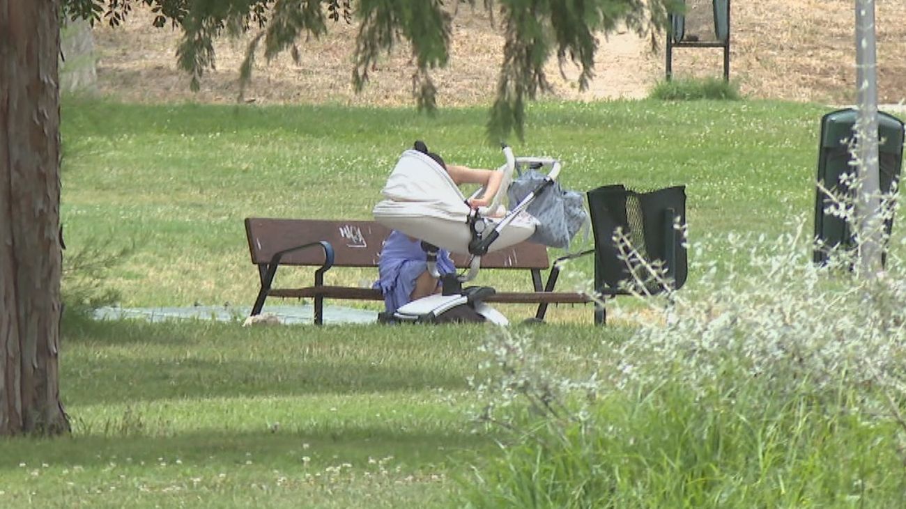 Prisión para el detenido por intentar matar a su pareja en un parque de Carabanchel