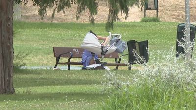 Prisión para el detenido por intentar matar a su pareja en un parque de Carabanchel