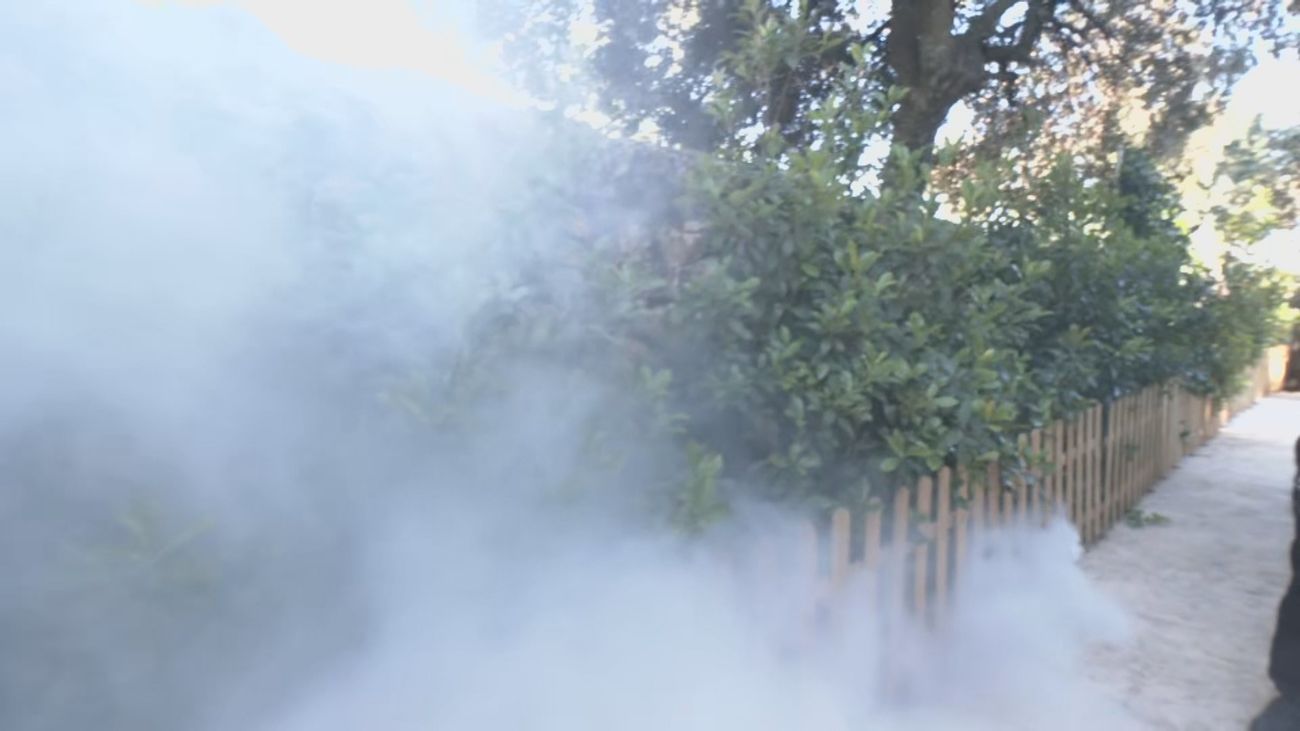 ¿Qué hacer ante un incendio cerca de nuestra casa?