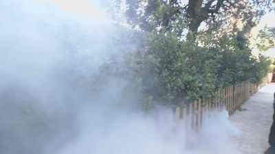 ¿Qué hacer ante un incendio cerca de nuestra casa?