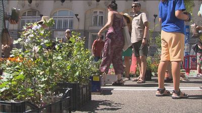 Madrid acoge la primera manifestación de plantas de la historia
