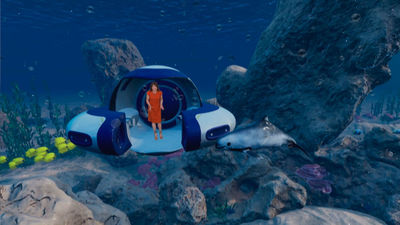 ¿Por qué están en peligro de extinción las vaquitas marinas?