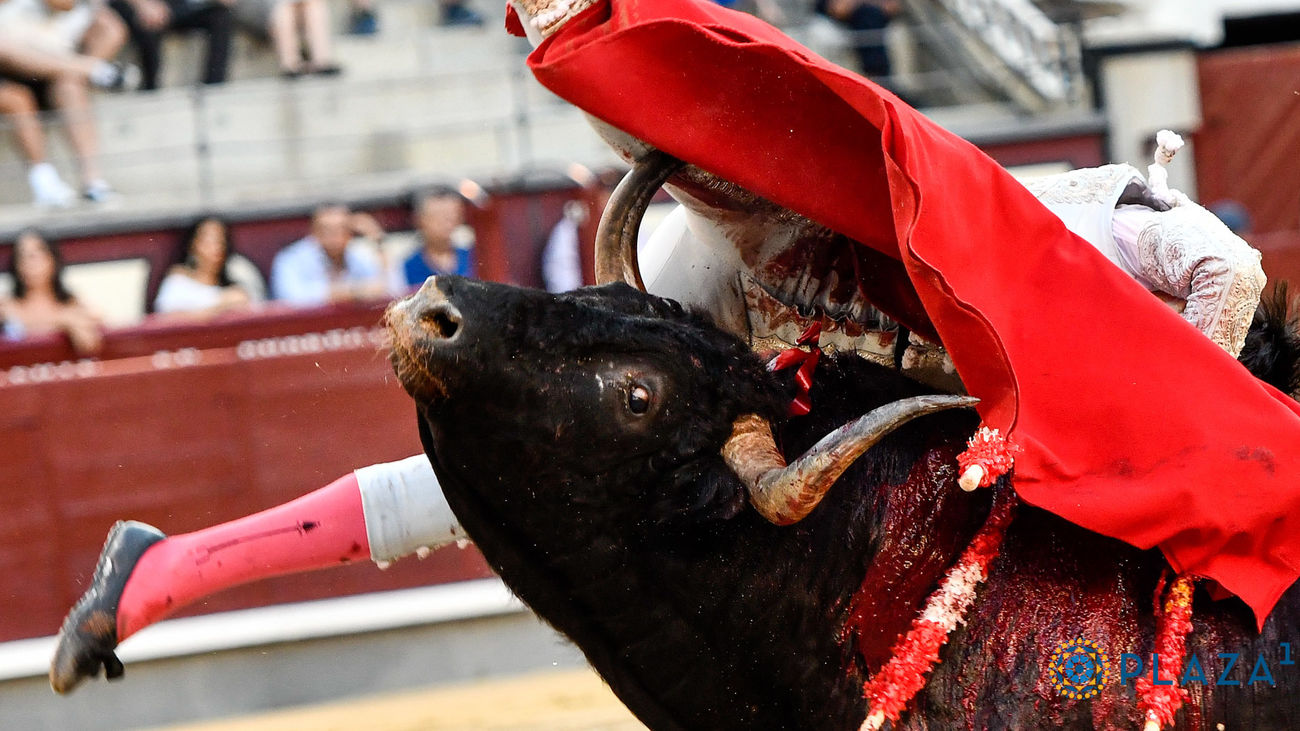 Espada resulta gravemente herido en Las Ventas por una cornada de dos trayectorias
