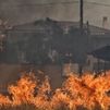Grecia se enfrenta a varios incendios descontrolados que queman las primeras casas