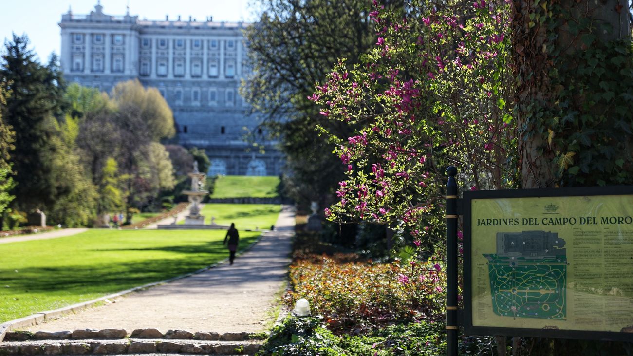Los mejores planes para el fin de semana  del 23J en Madrid... además de votar