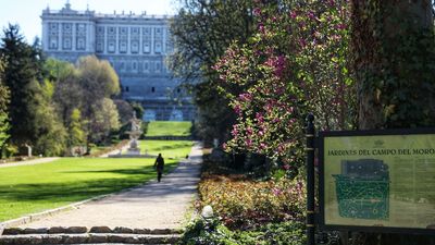 Los mejores planes para el fin de semana  del 23J en Madrid... además de votar