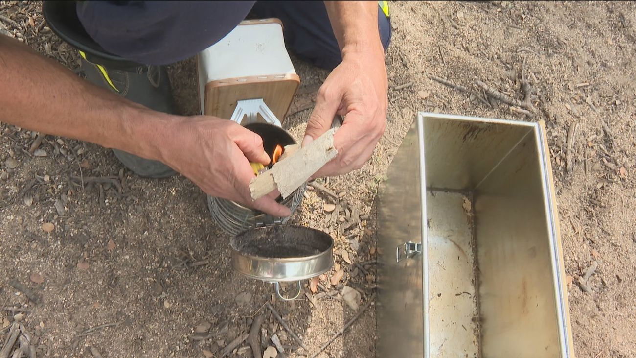 Así trabaja el equipo 'antiabejas' de los Bomberos de Madrid