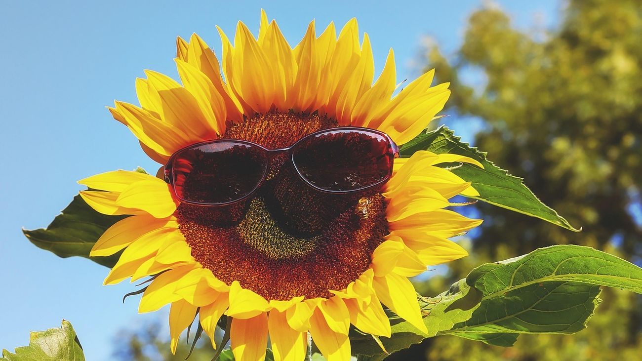 Cómo vestir 'fresquito' en verano sin ser hortera