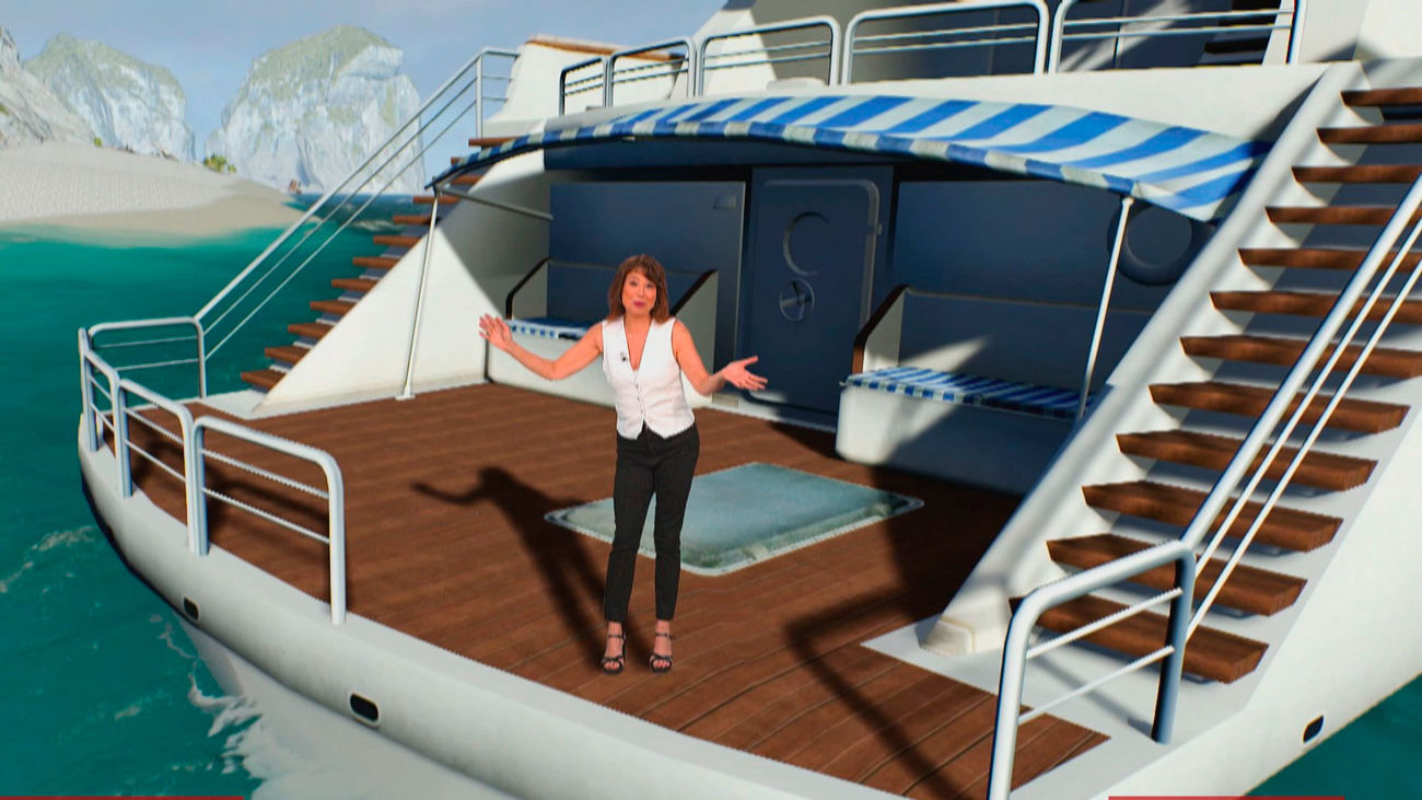 Todo lo que necesitas saber sobre los delfines