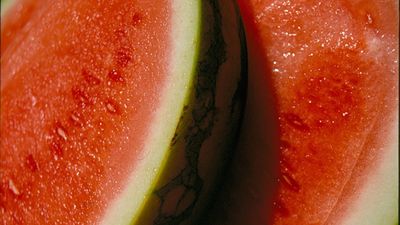 Alerta por la presencia de altos niveles de pesticida en sandías procedentes de Marruecos