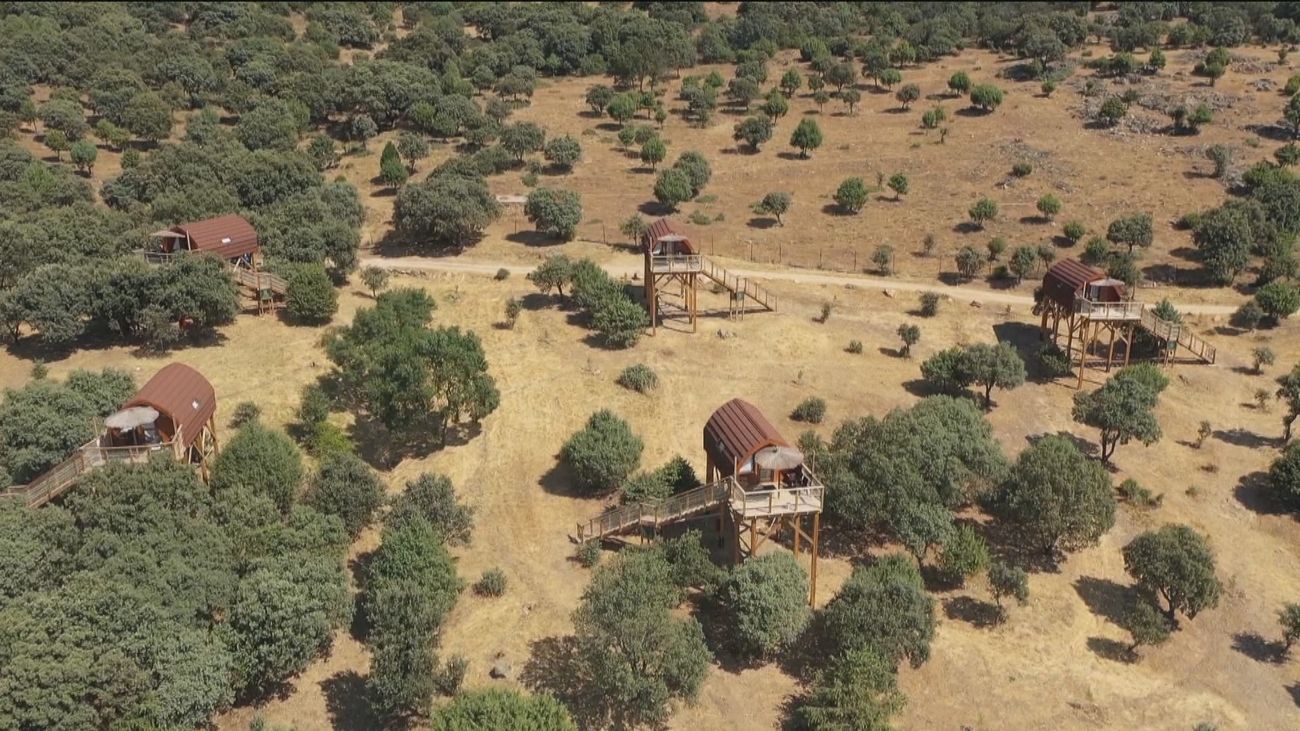Alojamientos en cabañas en los árboles en Madrid