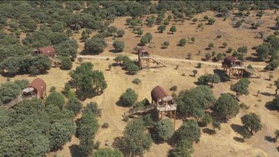 Alojamientos en cabañas en los árboles en Madrid