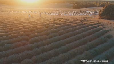 Mi cámara y yo: Una noche de verano