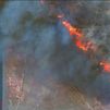 Las espectaculares imágenes de satélite de los incendios en Grecia
