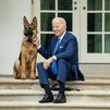 Uno de los perros de Biden trae de cabeza al servicio secreto de la Casa Blanca