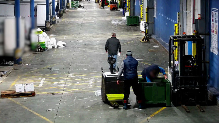 Agentes de la Guardia Civil descubren un entramado que vendía pescado en mal estado a restaurantes / GUARDIA CIVIL