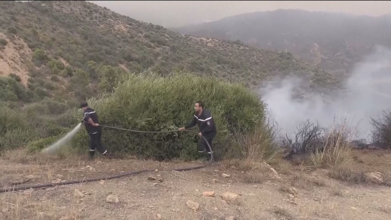 34 personas muertos  en incendios forestales en el noreste de Argelia