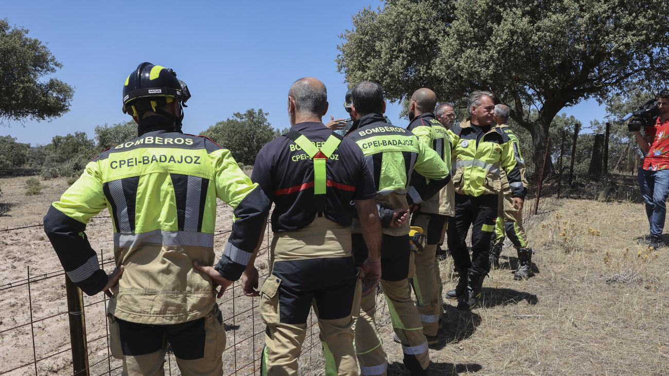 Efectivos del cuerpo de bomberos revisan el lugar donde se estrelló una avioneta en Mérida