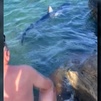 Qué hacer si te encuentras a tiburones en la playa