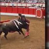 El torero peruano Roca Rey salva la vida de milagro