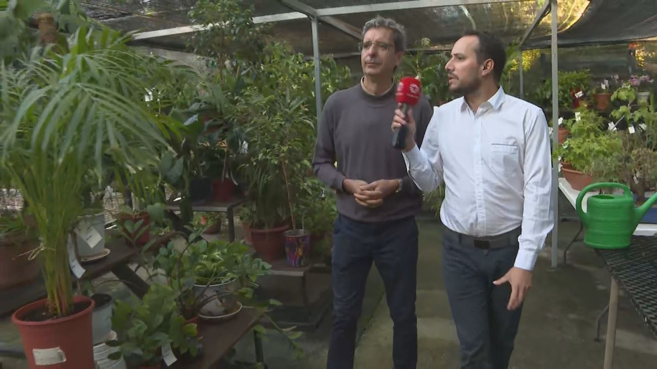 Una guardería y un hospital para tus plantas en Pozuelo durante el verano