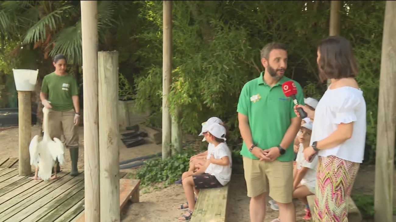 Los niños viajan en Faunia desde la Antártida a la Selva Tropical