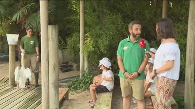 Los niños viajan en Faunia desde la Antártida a la Selva Tropical
