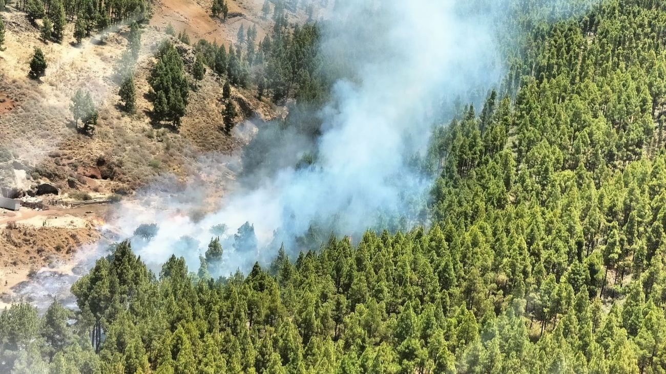 El incendio de Gran Canaria queda estabilizado por completo