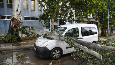 Caídas de árboles y daños materiales por una fuerte tormenta en Huesca