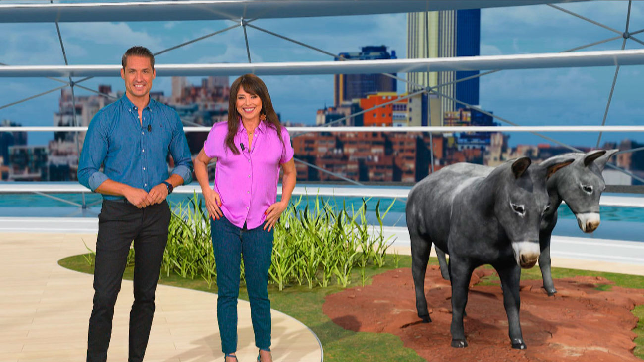 Un plan familiar perfecto: Disfruta de un día con animales en Granja 'La Mítica'