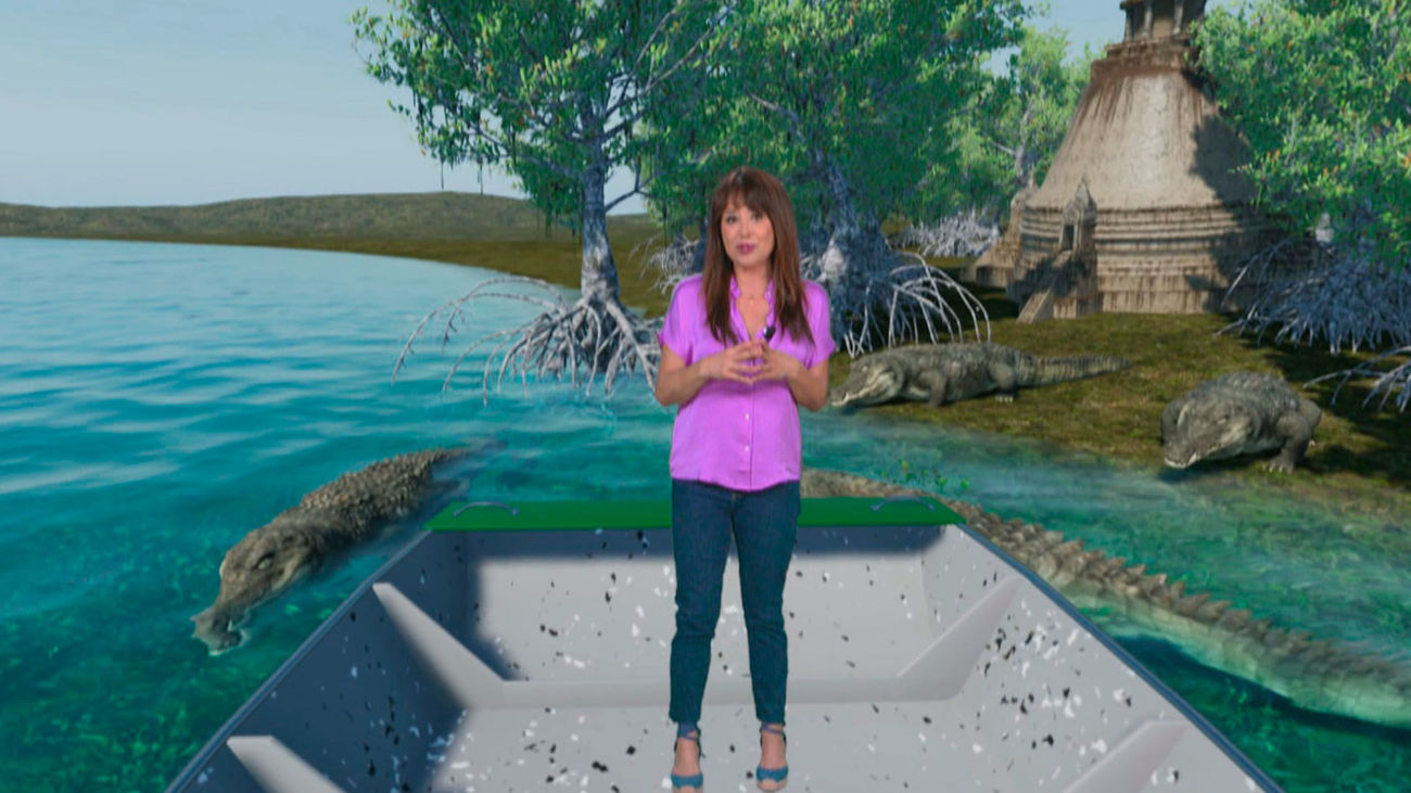 ¿Qué características tienen los manglares?