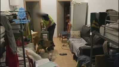 Desarticulada dos redes que explotaban laboralmente a extranjeros