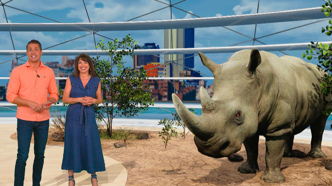 Comiendo helado: así escapan del calor los animales de Safari Madrid