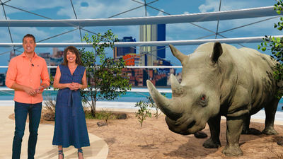 Comiendo helado: así escapan del calor los animales de Safari Madrid